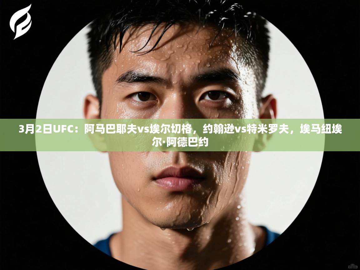 爱游戏 ayx 中国官方网站_ayx sports-3月2日UFC:阿马巴耶夫vs埃尔切格,约翰逊vs特米罗夫,埃马纽埃尔·阿德巴约 第2张