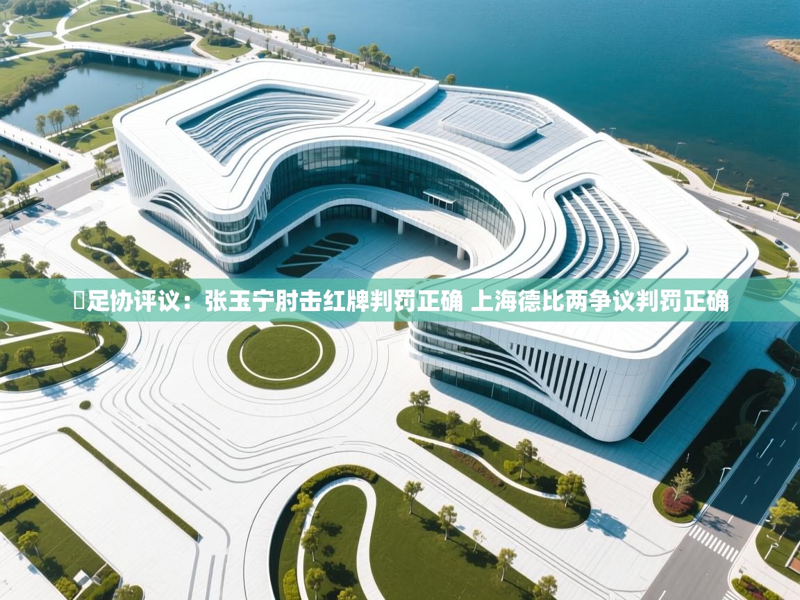 爱游戏体育娱乐-⚡足协评议:张玉宁肘击红牌判罚正确 上海德比两争议判罚正确 第1张