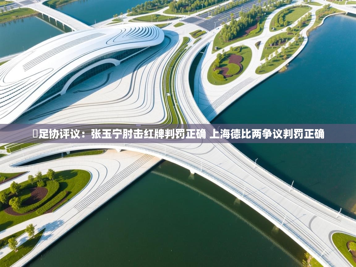 爱游戏体育娱乐-⚡足协评议:张玉宁肘击红牌判罚正确 上海德比两争议判罚正确 第2张