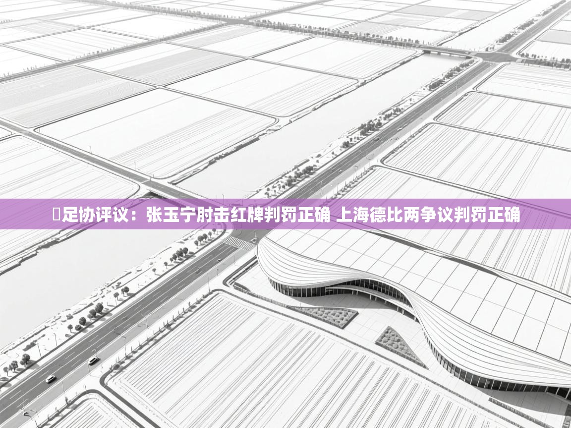 爱游戏体育娱乐-⚡足协评议:张玉宁肘击红牌判罚正确 上海德比两争议判罚正确 第3张