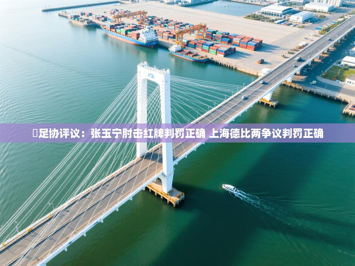 爱游戏体育娱乐-⚡足协评议:张玉宁肘击红牌判罚正确 上海德比两争议判罚正确 第4张