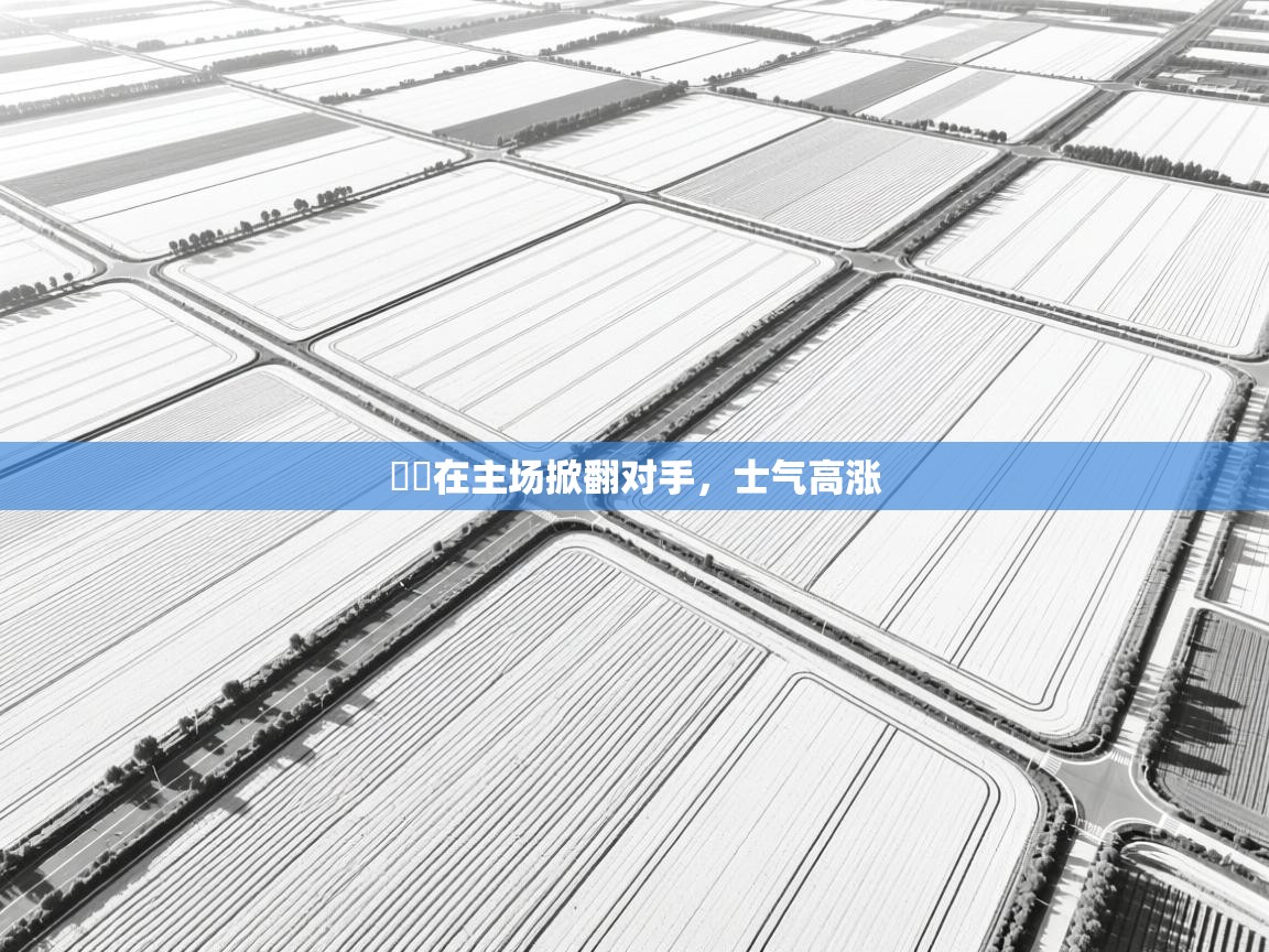 爱游戏娱乐平台-籃網在主场掀翻对手,士气高涨 第1张