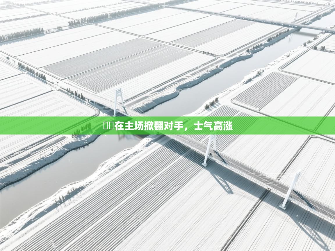 爱游戏娱乐平台-籃網在主场掀翻对手,士气高涨 第4张