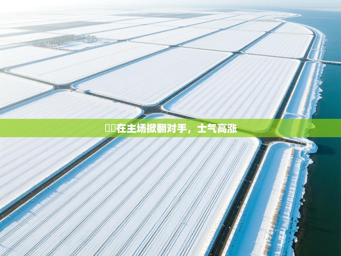 爱游戏娱乐平台-籃網在主场掀翻对手,士气高涨 第3张