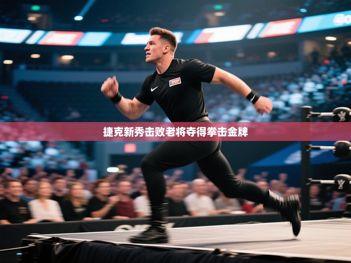 爱游戏体育娱乐马竞赞助商-捷克新秀击败老将夺得拳击金牌 第4张